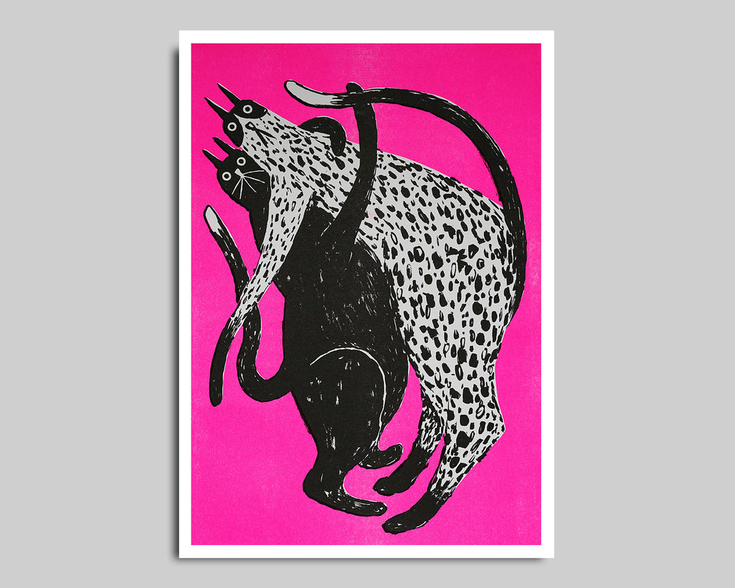 Schneeberg.Land | Risoprint | Katzen neonpink