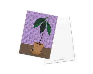 Jolanda Epprecht | Postkarte | Avocado