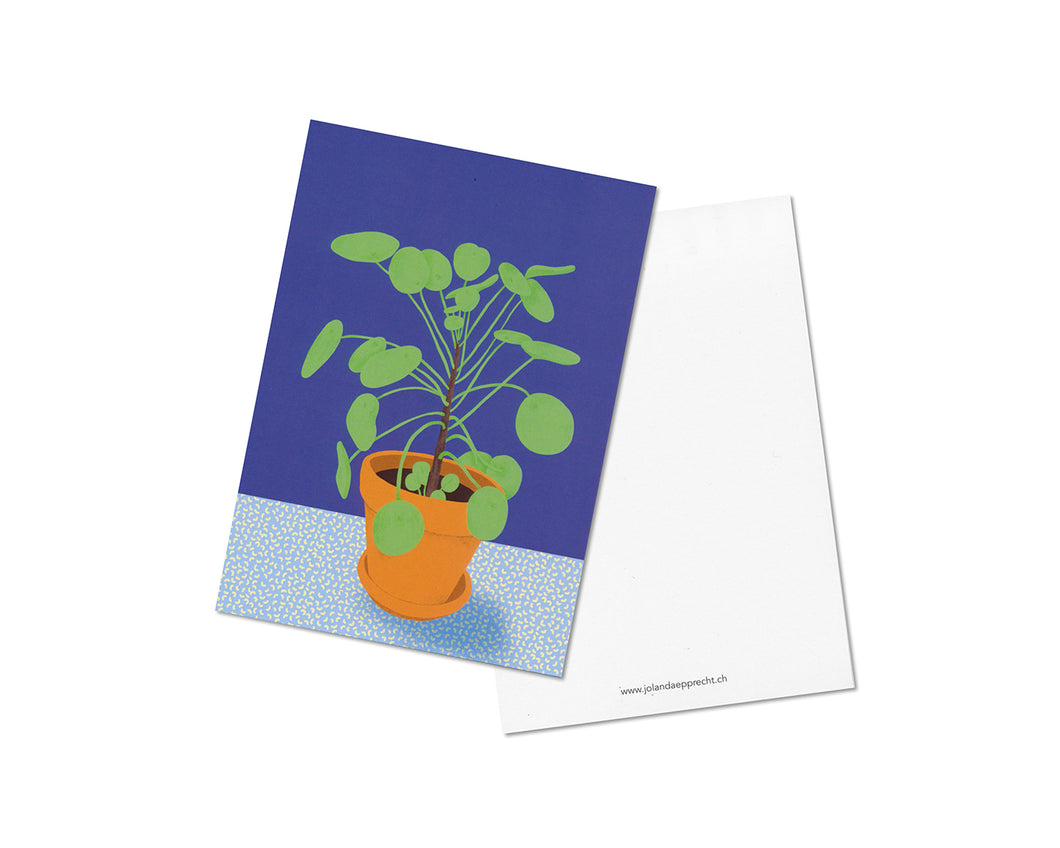 Jolanda Epprecht | Postkarte | Pilea