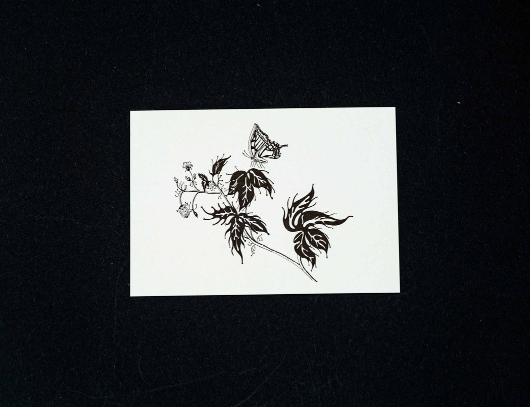 Buglady | Postkarte | Swallowtail